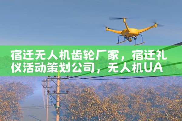 Ǩ˻ֳ|˻UAV