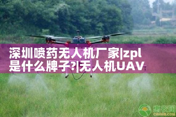 ·˻|˻UAV