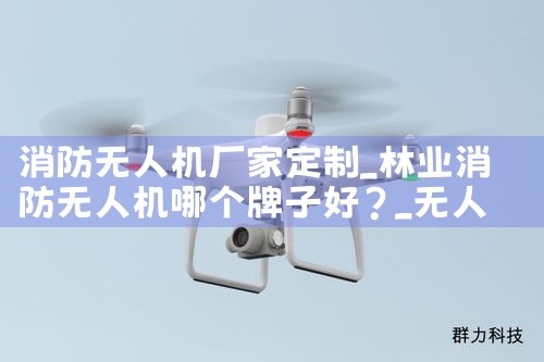 ˻Ҷ|˻UAV