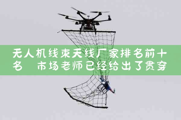 ˻߳ǰʮ|˻UAV