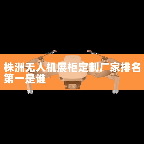 2100칤,ȫ״ͬɫסȫ..._йЩչƳ?붨һչʾ.λ..._޹Ǽצ_չ_˻UAV