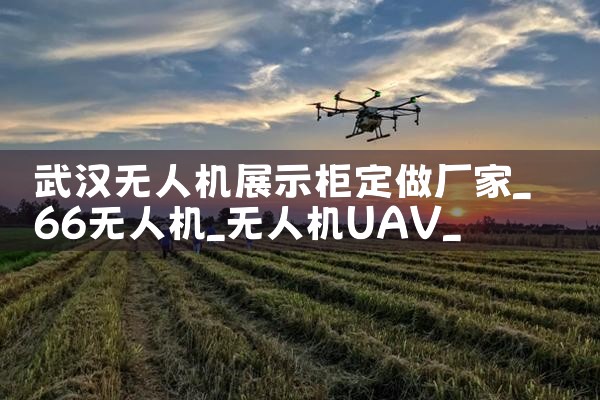 人˻չʾ|˻UAV